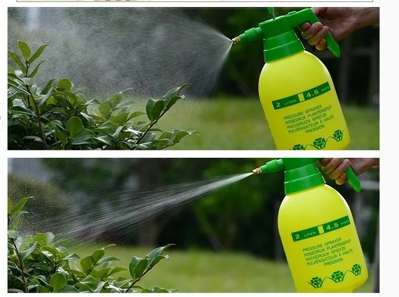 

2L portable pressure garden sprayer for plant watering or deinsectization use
