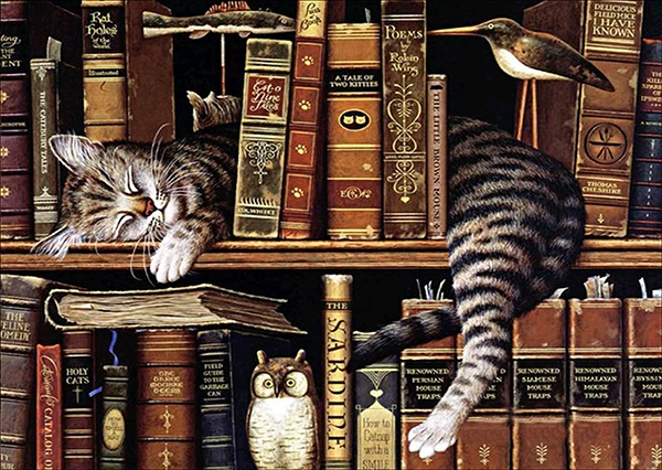 5D Diy алмазная живопись книжная полка полная Алмазная вышивка стразами кошка