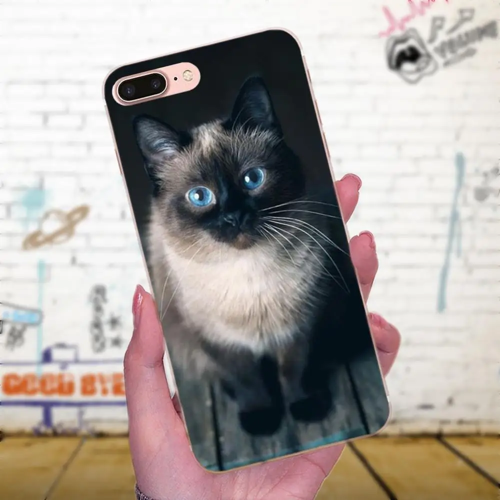 Чехол в синюю горошек с традиционным сиамским котом для Galaxy J1 J2 J3 J330 J4 J5 J6 J7 J730 J8 2015