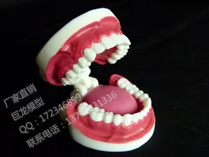 Бесплатная доставка, модель зуба для полости рта, модель зуба для рта, мл