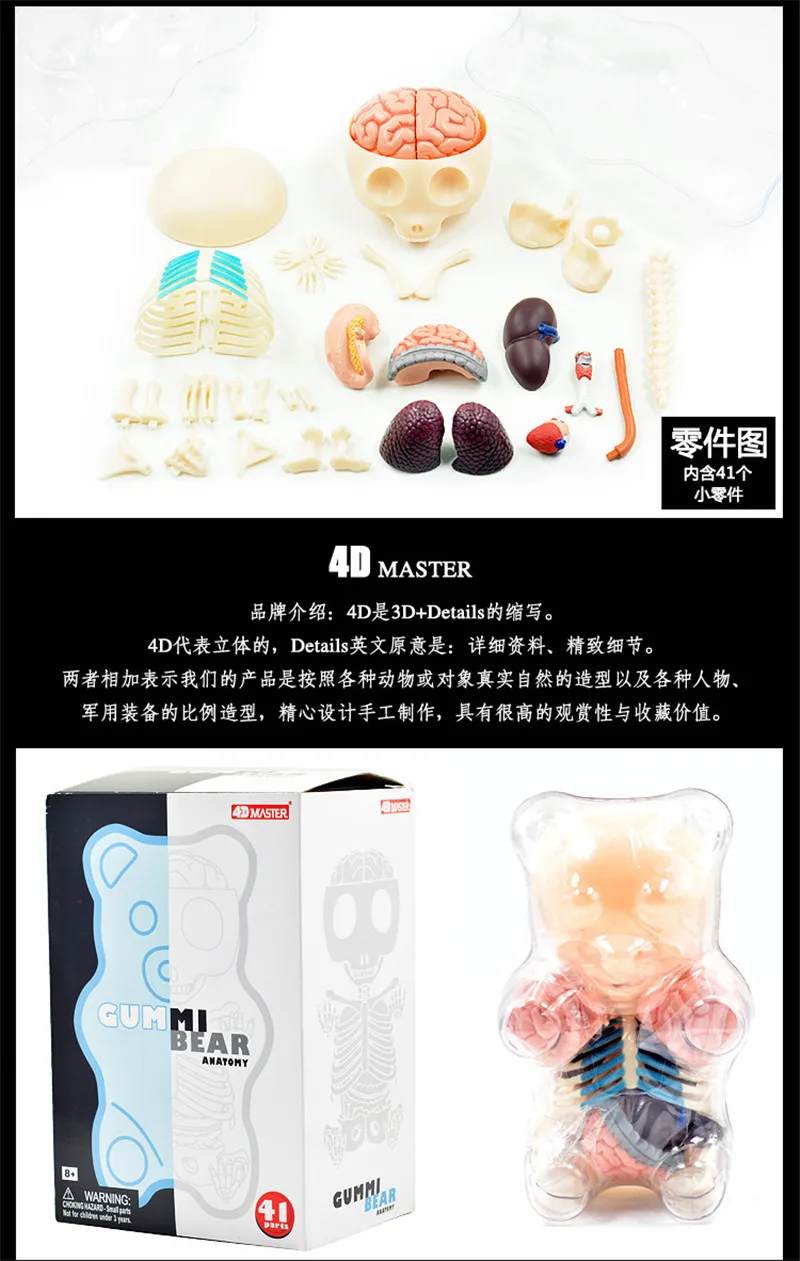 

Big bear 4d master puzzle Assembling toy Perspective bone anatomy model