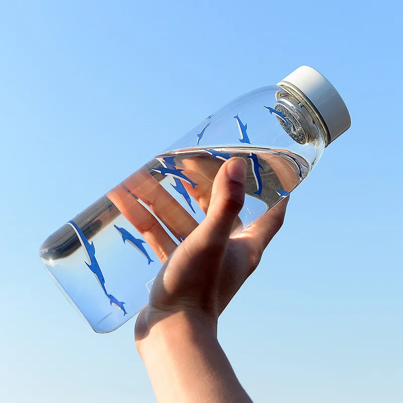 800 мл большая емкость стеклянные бутылки для воды с чаем Infuse портативные сумками