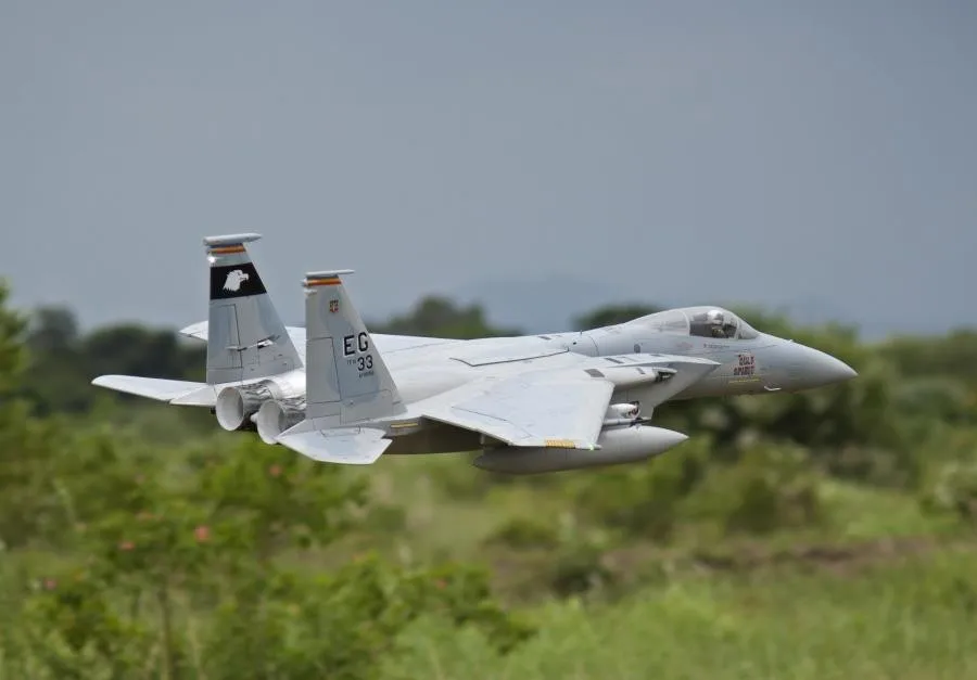 Freewing F-15 Орел 90 мм EDF реактивный самолет PNP EPO модель самолета F15