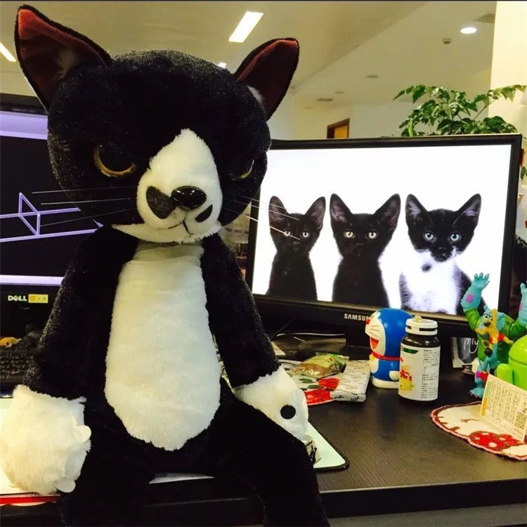 60 см мультфильм аниме Белый Серый Черный точный Кот плюшевые игрушки милая не