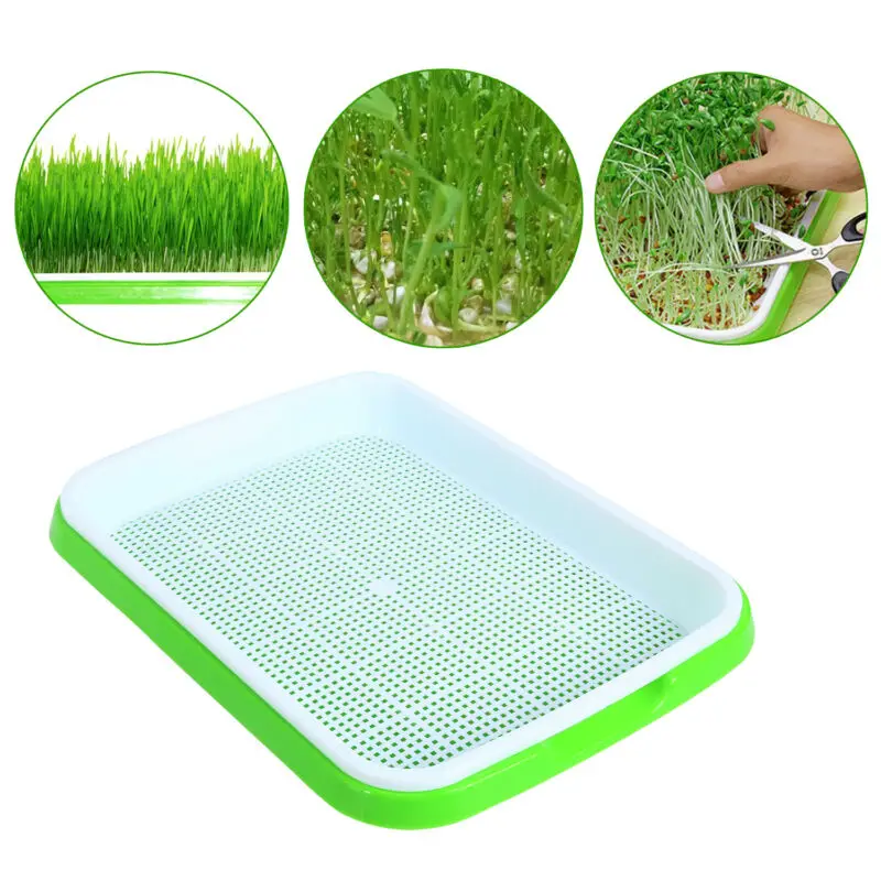10pcs Seed Sprouter Tray Plastic Soil Free Capacity Wheat Grass Gardening Germinator Grow Box | Дом и сад