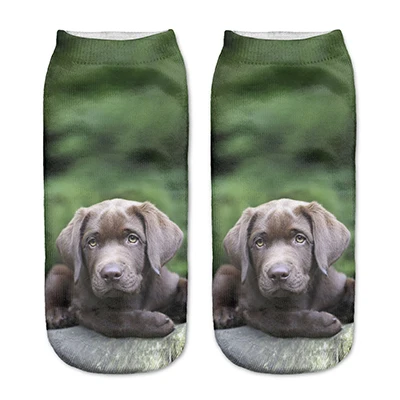 Cute Socks 90154 1 пара забавных 3D носков женские носки фантазийные Полиэстеровые милые носки Харадзюку с принтом собак новое поступление - Цвет: Cute Socks 90154