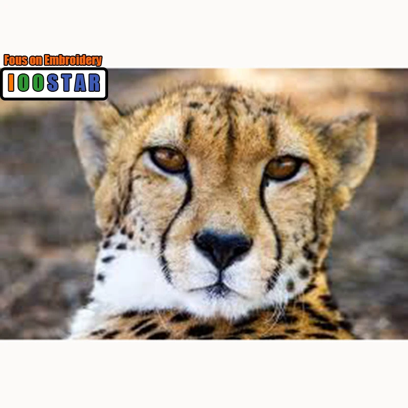 

Full Square Diamond embroidery Cross stitch animal cats Full Round Diamond mosaic Cheetah 3D DIY Diamond painting leopard