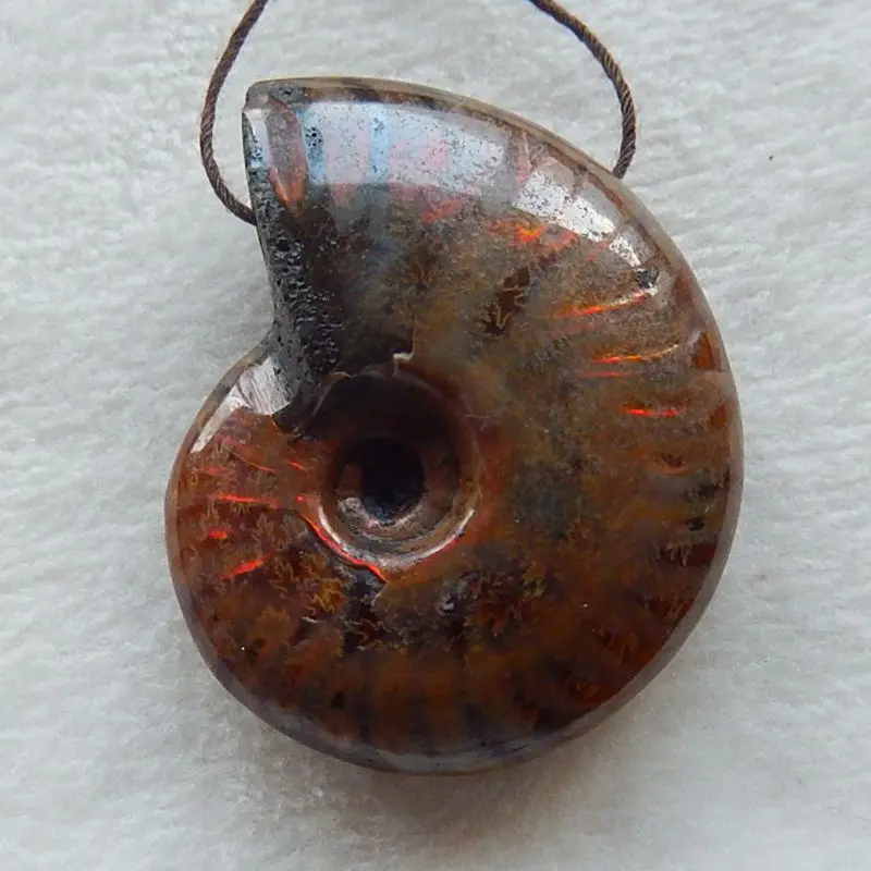 

Carved Natural stone Ammonite Fossil Animal Pendant,44x36x13mm,27.9g