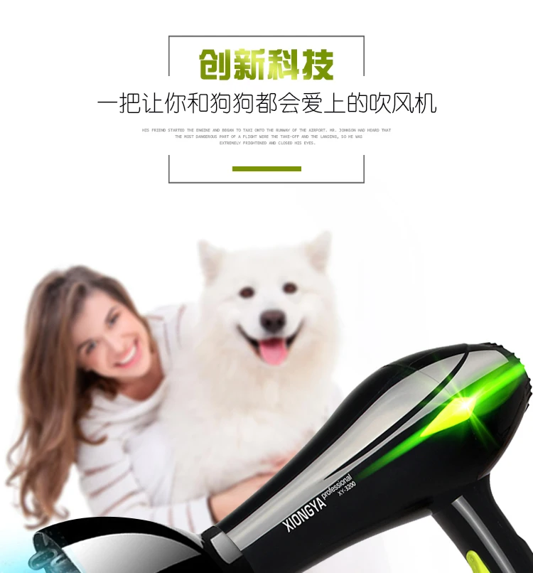 Высокая мощность pet фен для волос немой Собака Профессиональный 3200 Вт Золотой