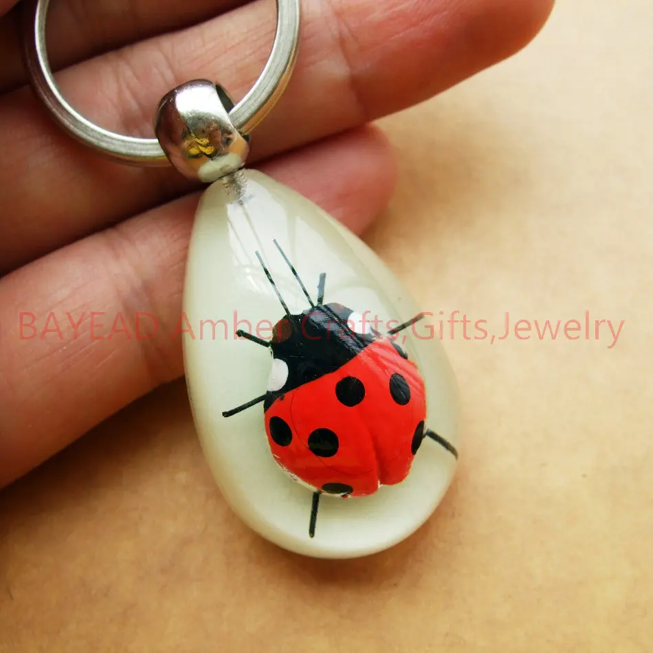 Фото Imitation Ladybug in Glow Resin Keychains Lady bug Key chains Fake Bird Keyring Novel Gift Souvenir TAXIDERMY GIFT | Украшения и