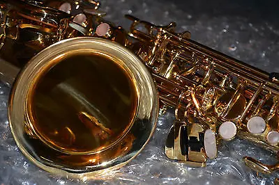 Yanagisawa-990-Professional-Alto-Saxophone-Case-Pad Saver-Closet Horn-Rare | Спорт и развлечения