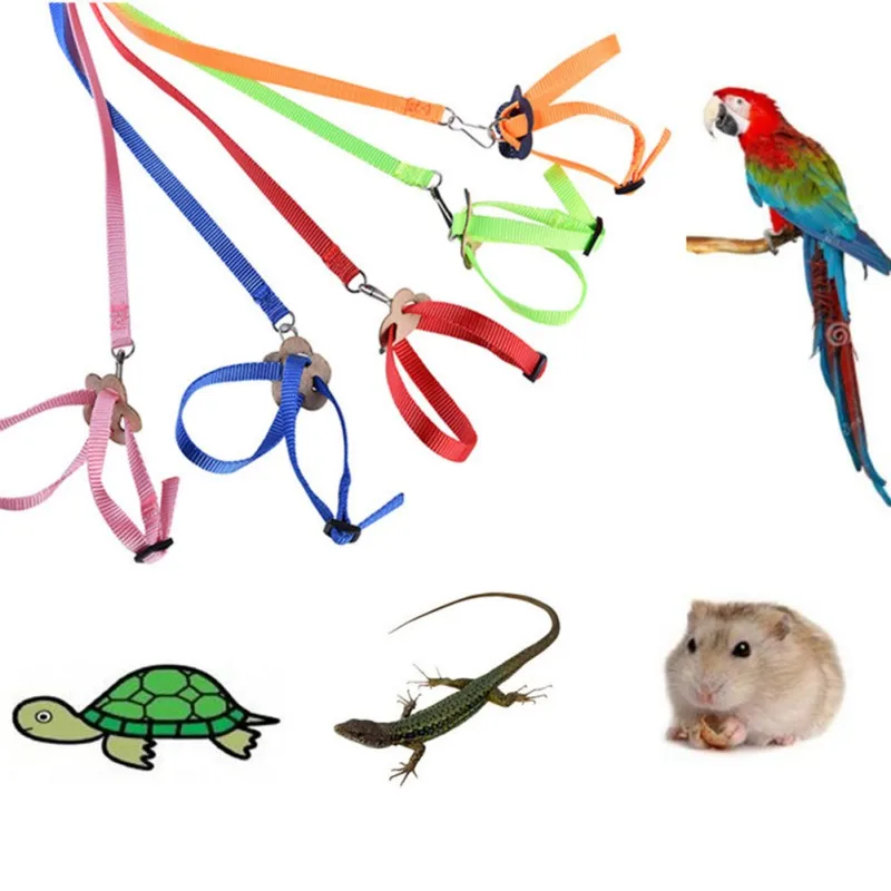 

Adjustable Parrot Bird Leash Outdoor Harness Training Rope Anti Bite Flying Band