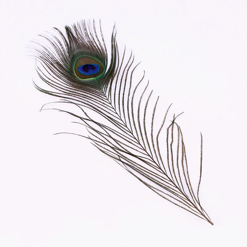 10PCS Natural Peacock Feathers 10-12 Inch Plumes Vase Decoration Feather High Quality Beautiful | Дом и сад