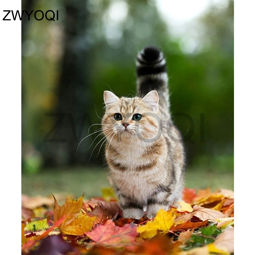 Полная круглая Алмазная картина вышивка крестиком Кошка Животное сделай сам 3D