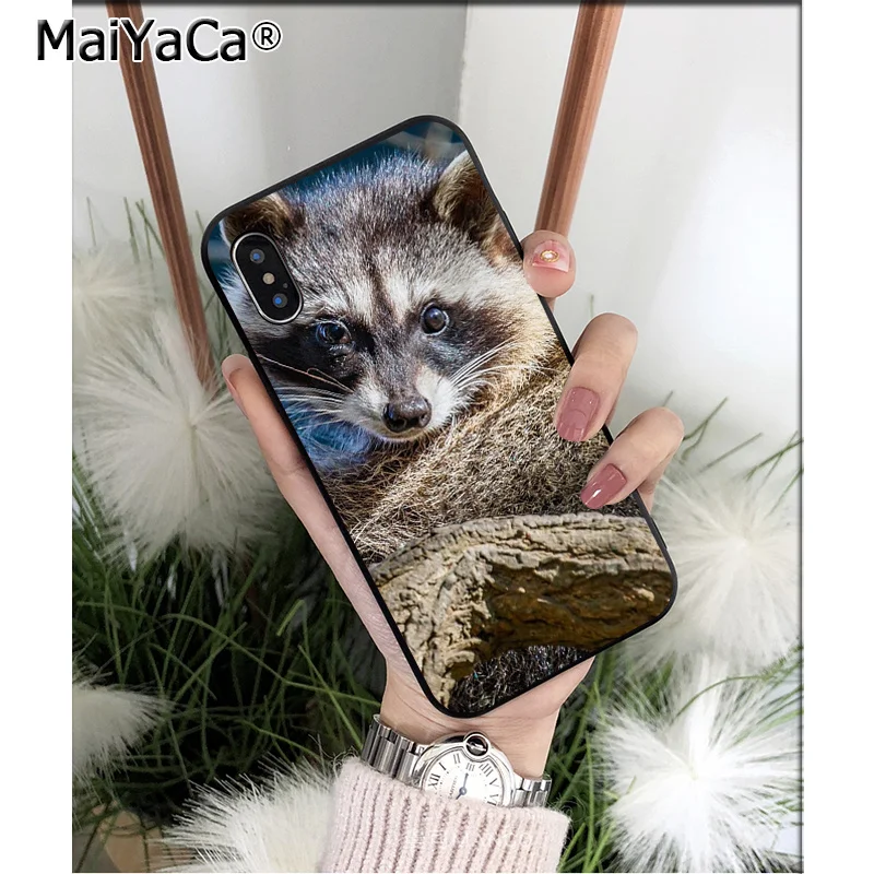 A13 MaiYaCa животное енот лиса высокое качество чехол для телефона iPhone X XS MAX 6 6S 7 7plus 8 8Plus 5 5S XR - Цвет: A13