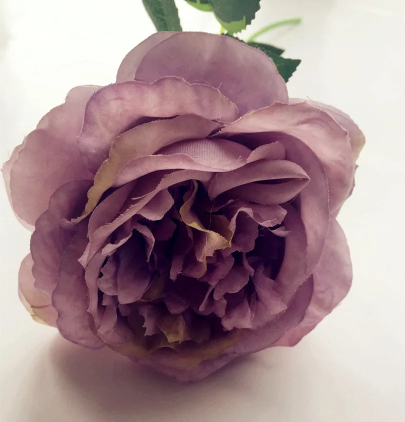 Искусственная картина маслом с эффектом австралийской розы 10 шт. цветок стола 15 75