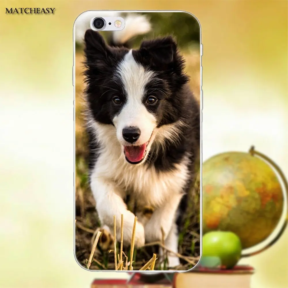 Красивый Border Collie Puppy Dog для Apple iPhone X XS Max XR 4 4S 5 5C SE 6 6S 7 8 Plus мягкий модный мобильный