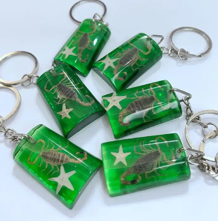 12 шт. в упаковке новые Грин обратно ЗОЛОТОЙ СКОРПИОН vogue брелок|keychains free shipping|scorpion