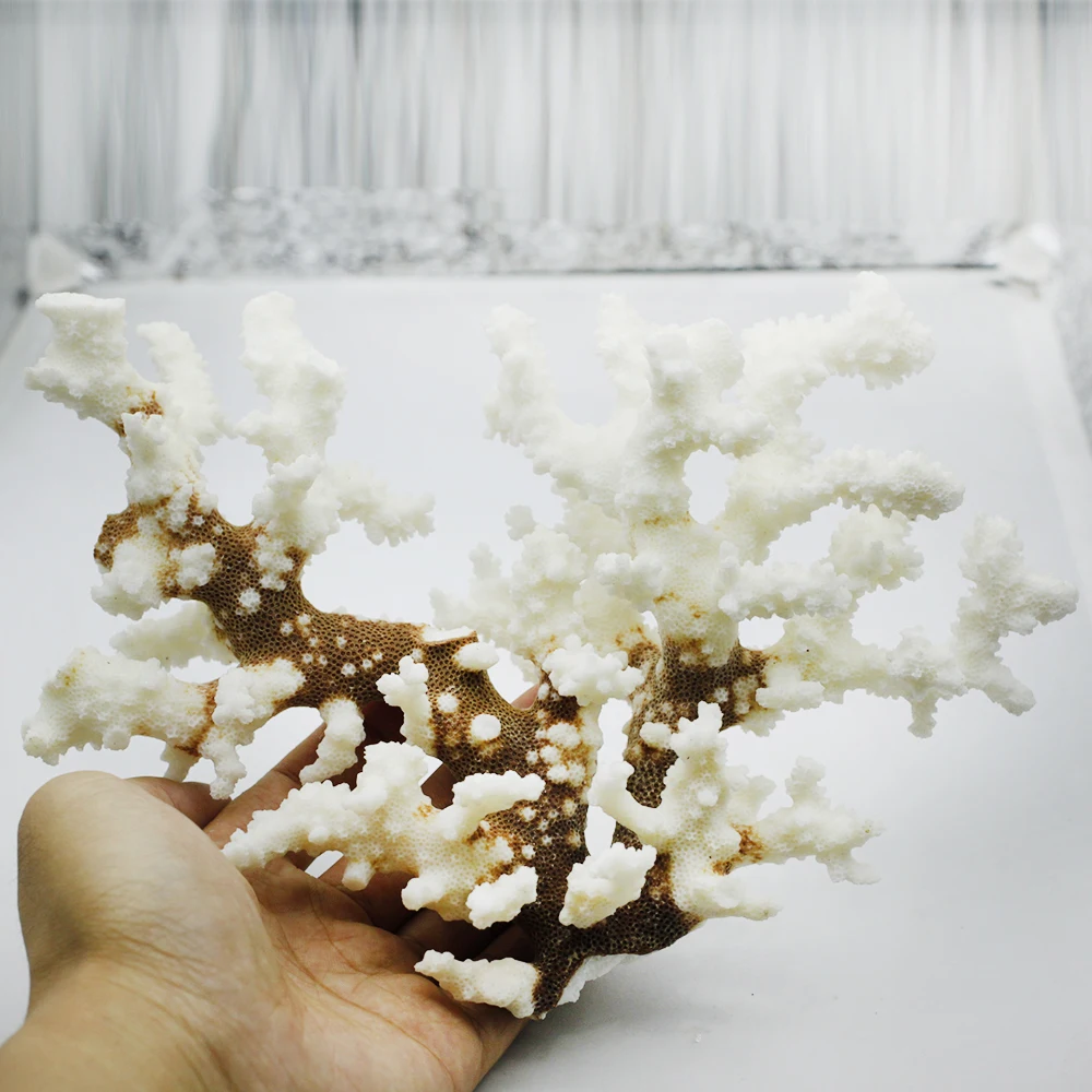 

2pcs Natural Coral Sea White Coral Tree White Coralline Aquarium Landscaping Furnishing Ornaments Home Decoration