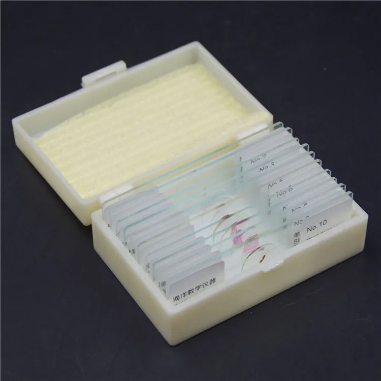 Complete sets of primary and secondary biopsy specimen teaching equipment slices loaded tablets smear 10 installed