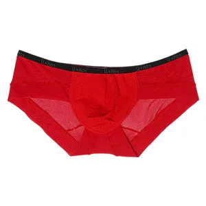 Sexy Gay Underwear Men Briefs Shorts Transparent Mesh Breathable Low Waist U Pouch Underpants Cuecas ropa interior hombre M-XL |