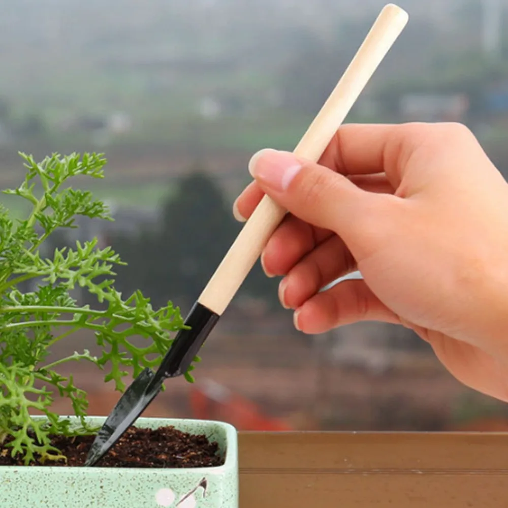 3 шт. мини совок грабли в комплекте Мини садовые инструменты бонсай набор