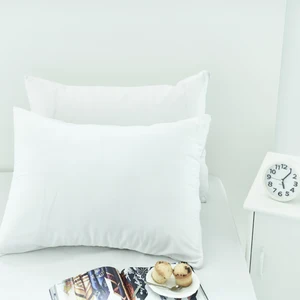 Наволочки для подушек, гладкие, водонепроницаемые, 60 х60, подушка Allerzip, 1 пара