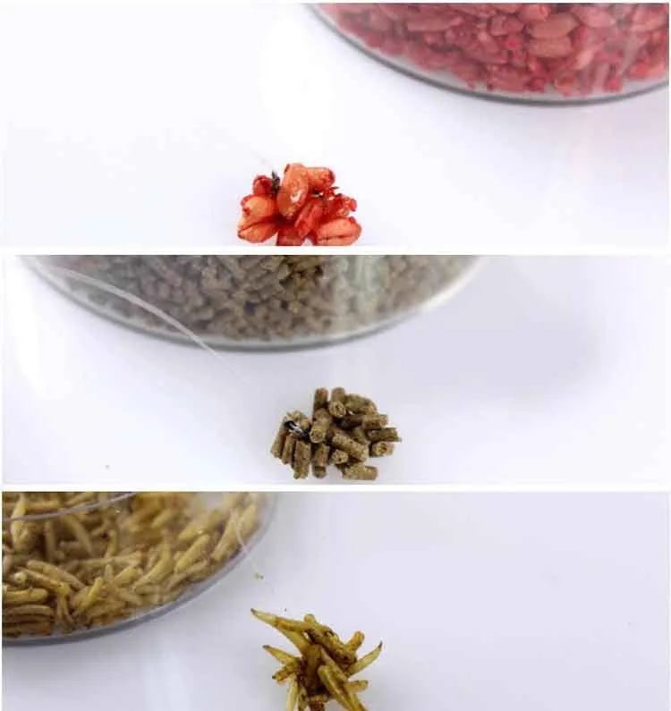 5 бутылочек, приманка для рыбалки, клей для Nymphs Maggots Rices, маленькие гранулы и т. Д., приманка для ловли карпа, инструмент
