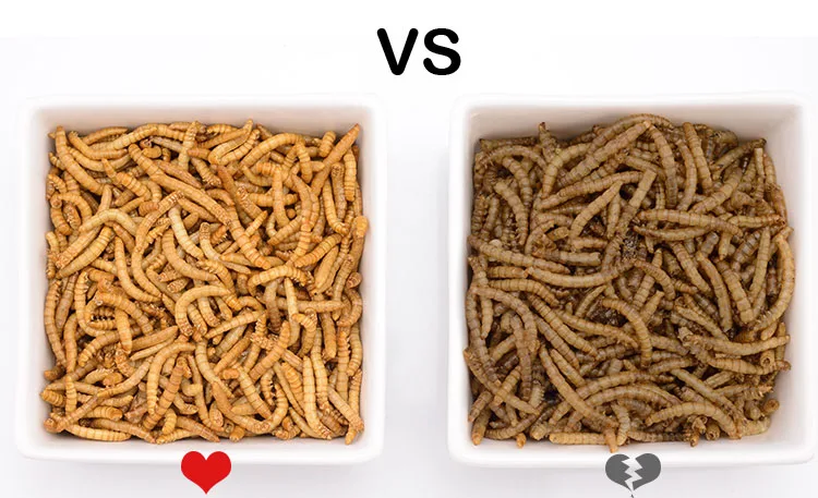 Deleba рептилия; Ящерица Черепаха Рыба еда mealworm сухой cichild flowerhorn arowana еда аквариумная кормушка для рыб поплавок на воды tortise