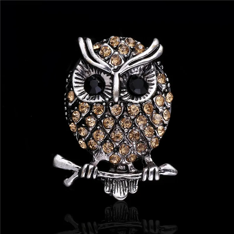 RONGQING 10 шт./лот Кристалл Ночная Сова булавки мастер мессенджер животное Броши для женщин и детей|animal brooches for