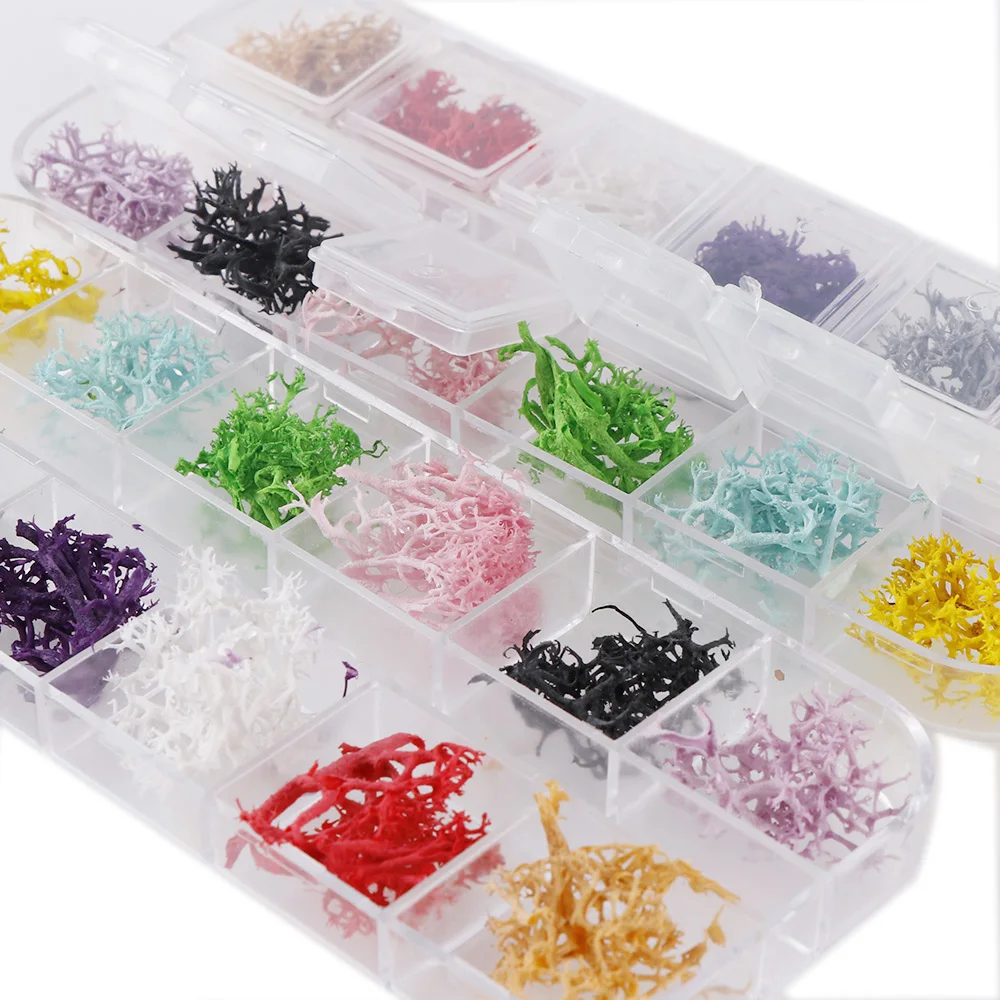 

12 Colors/Box Coral Real Dried Flower Dry Plants For Epoxy Resin Pendant Necklace Jewelry Making Craft DIY Nail Accessories