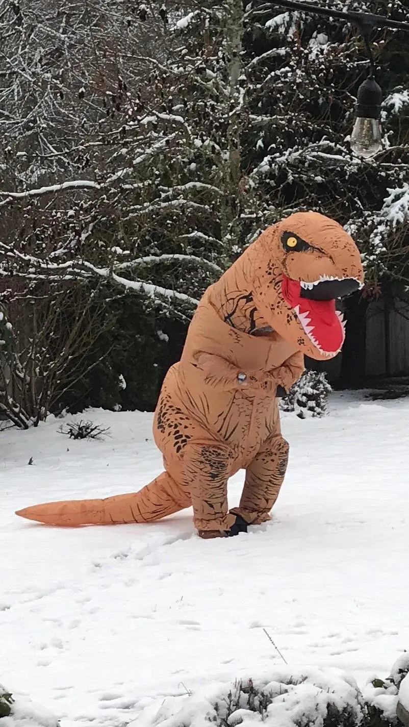 Надувные костюмы Trex, рождественские костюмы, аниме, костюмы для взрослых на Хэллоуин, костюмы для взрослых, для мужчин и женщин, нарядные вечерние платья