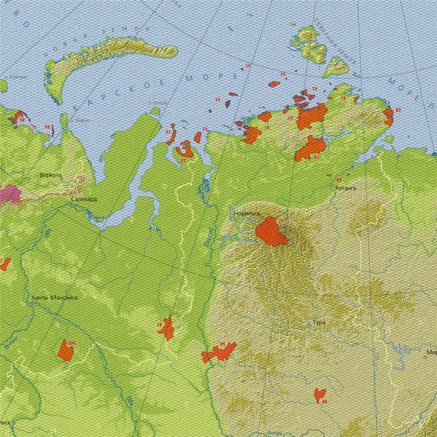 Зеленая карта России винтажный постер Ретро Холст Картина гостиная спальня обои