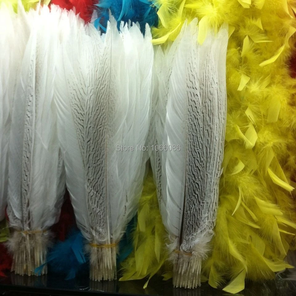 

Free Shipping 100pcs Silver pheasant Feathers 40-45cm 16-18inch white silver Pheasant Feathers DIY Feathers Cloth accessory