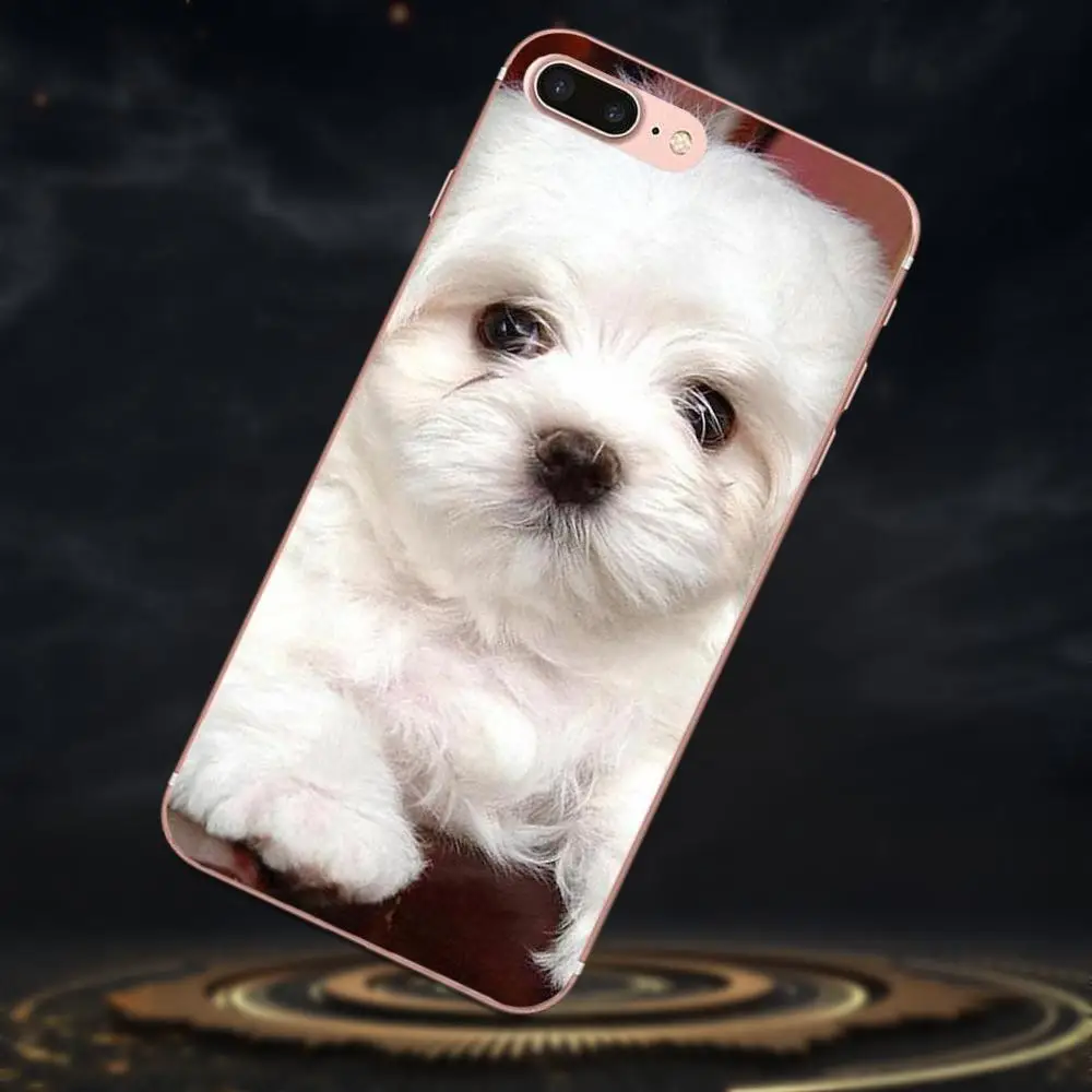 Мягкий чехол для Sony Xperia Z Z1 Z2 Z3 Z4 Z5 compact Mini M2 M4 M5 T3 E3 E5 XA XA1 XZ Premium I Love My Bichon Frise Dog