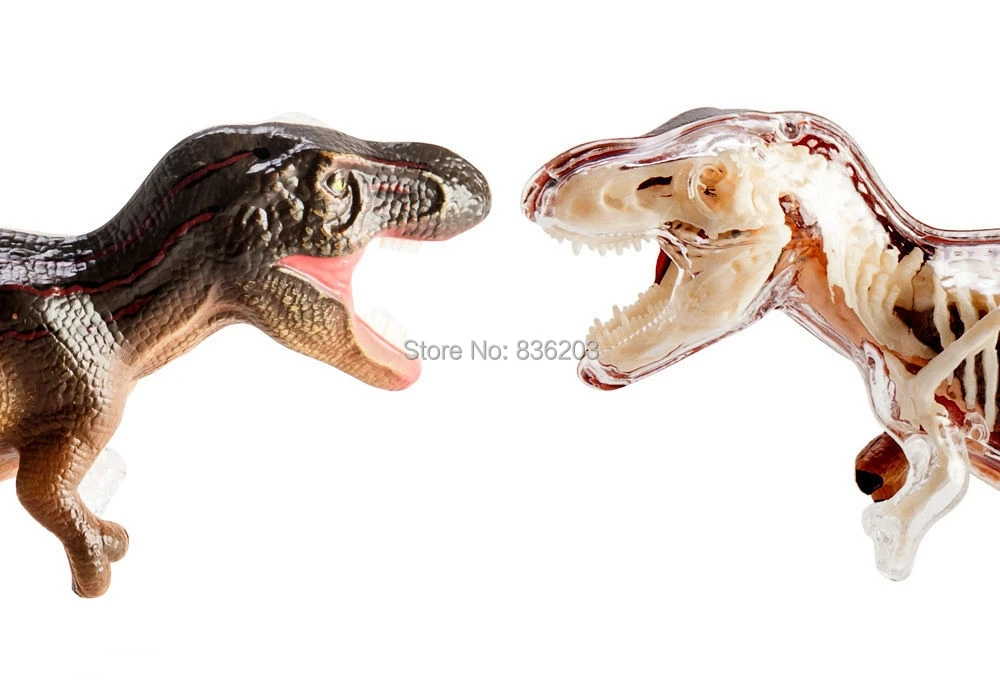 4D Master vision T-REX Анатомия динозавра модель скелета полностью съемные части тела Обучающие