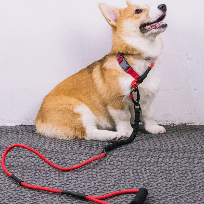 Large dog elastic traction rope eight kinds of color choose match at length 120 cm high strength plastic buckles safe durable |