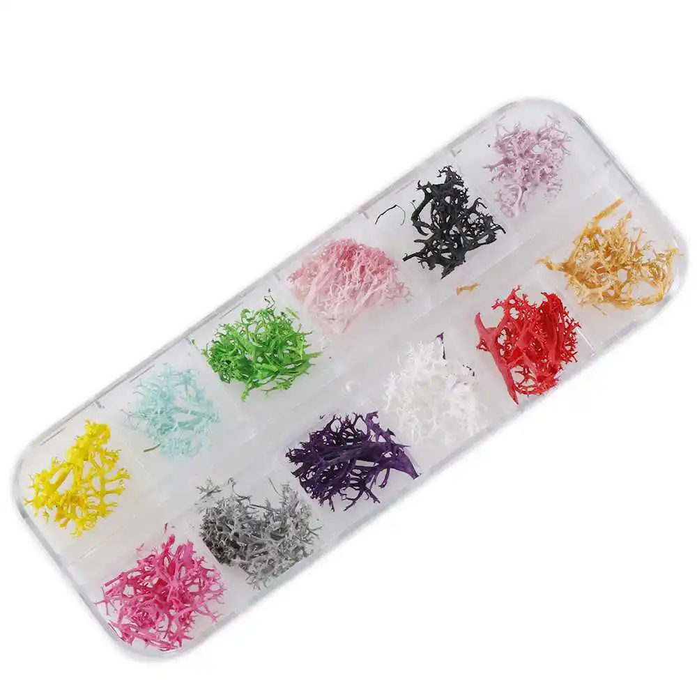 mix color 12 цветов в коробке, коралловые морские водоросли, сушеные цветы, сухие растения для эпоксидной смолы, кулон для ногтей, ювелирных изделий, рукоделия, аксессуары - Цвет: mix color