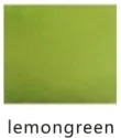 Lemon Green Для взрослых, базовая команда размера плюс, майка без рукавов, трико, серебро, лайкра, балет, танцевальный купальник, гимнастика, одежда - Цвет: Lemon Green