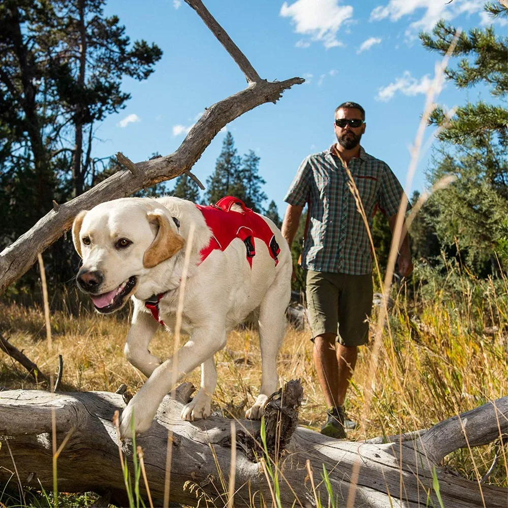 RUFFWEAR веб-мастер жгут