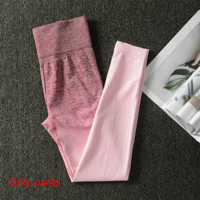 Rose red pants 2 шт./компл. Йога Комплект спортивная одежда эффектом деграде(переход от темного к спортивный бюстгальтер Бесшовные Леггинсы спортивный костюм Для женщин Фитнес набор для ношения при активном образе жизни - Цвет: Rose red pants
