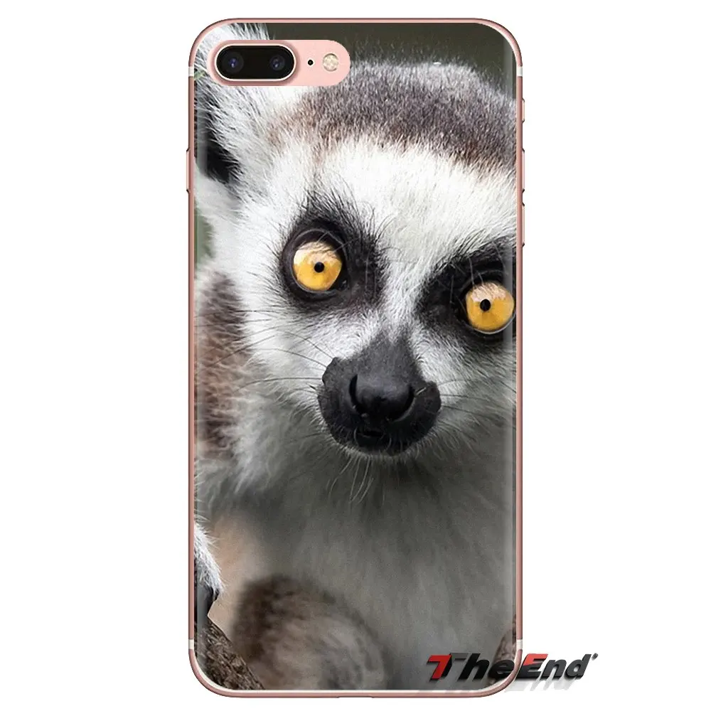 For Samsung Galaxy J1 J2 J3 J4 J5 J6 J7 J8 Plus 2018 Prime 2015 2016 2017 Transparent Soft Shell Covers cute lemur |