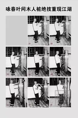 Обучающая книга Wing Chun китайская кунг-фу обучающая экшн-книга |