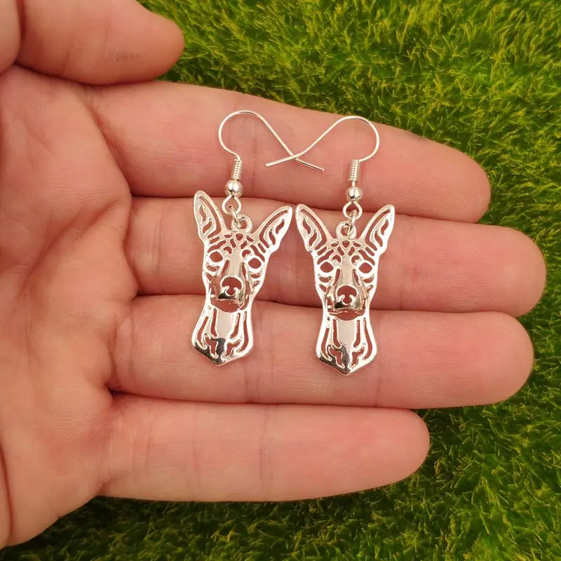 2021 миниатюрные ювелирные наборы Pinscher собака животные ожерелье серьги капли