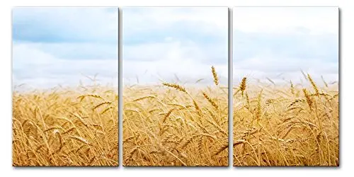 3 panels Canvas Paintings Landscape Golden Paddy Wall Art Picture for Living room Modern Oil | Дом и сад