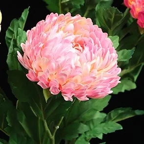 pink Xuanxiaotong 10 шт./компл. 60 см Хризантема шелковые искусственные цветы для дома дешевые Семья предложены файлы Гербер цветы вечерние украшения - Цвет: pink