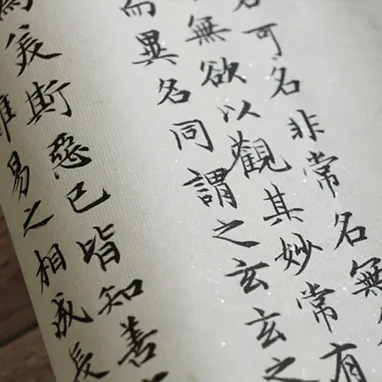 Чжао Mengfu's Xiaokai Tao Te Ching китайская каллиграфическая книга для начинающих и