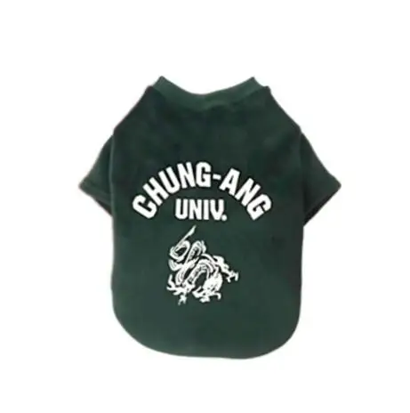 [MPK Store] дизайн коралловый флисовый свитер для собак, Chung-Ang Одежда для собак на холодное время года, гладкая текстура, 4 цвета - Цвет: Green