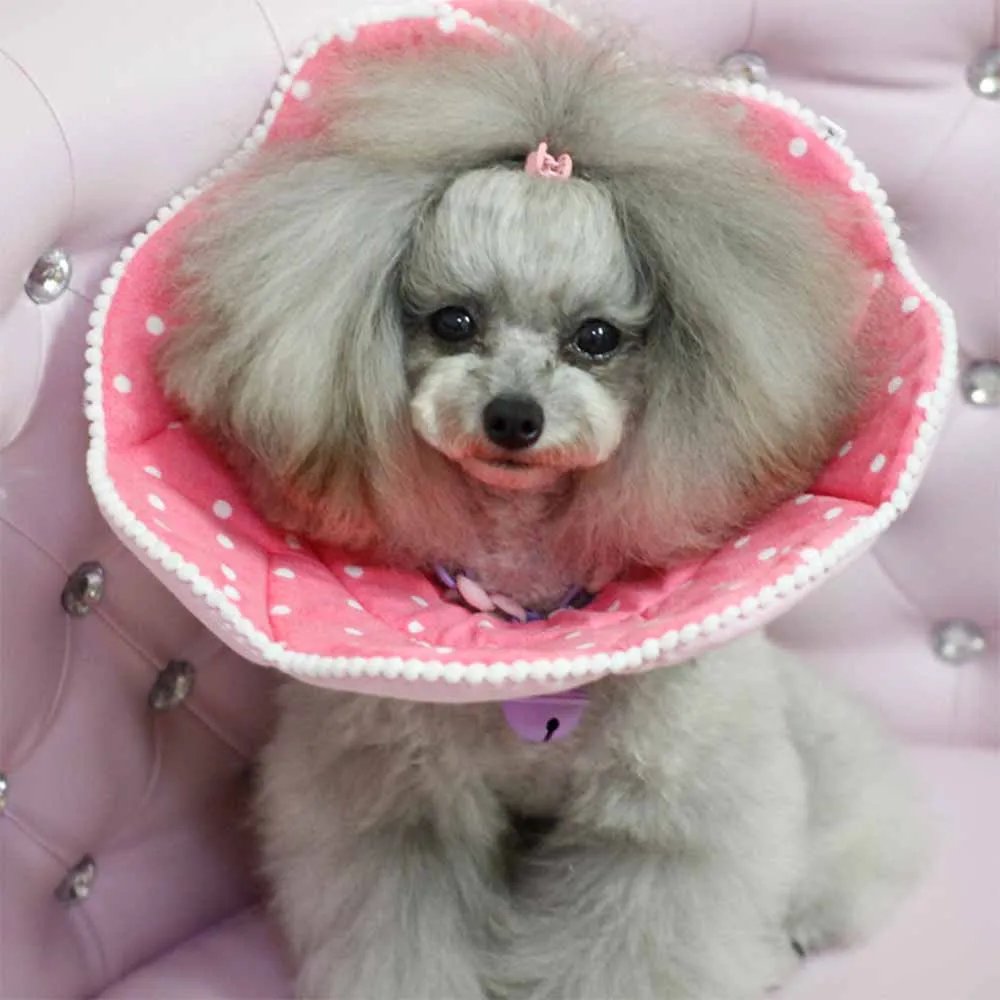 

Pet Protective Collar Dog Neck Recovery Cone Collar for Anti-Bite Lick Surgery Wound Healing Cat Dogs Medical Circle MDL003