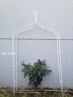 climbing frame wrought iron flower arch cosmetic cany on grape wedding iron frame